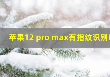 苹果12 pro max有指纹识别吗